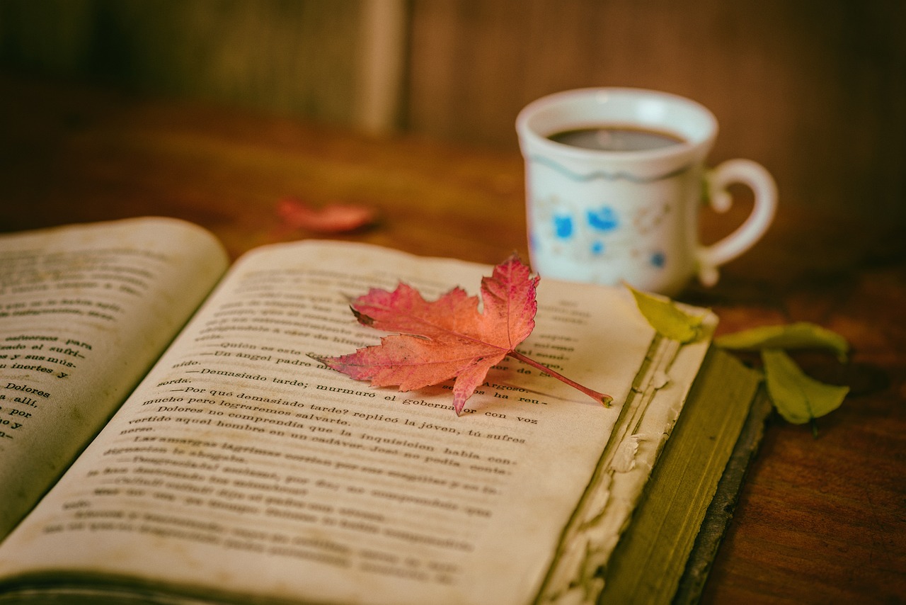 entdecken sie transformative bücher, die ihr leben verändern können. von inspirierenden biografien bis hin zu praktischen ratgebern – lassen sie sich von diesen seiten inspirieren und gewinnen sie neue perspektiven.