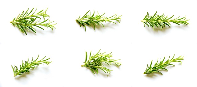 Gesundes Kochen: Einfache Tipps für eine ausgewogene Ernährung